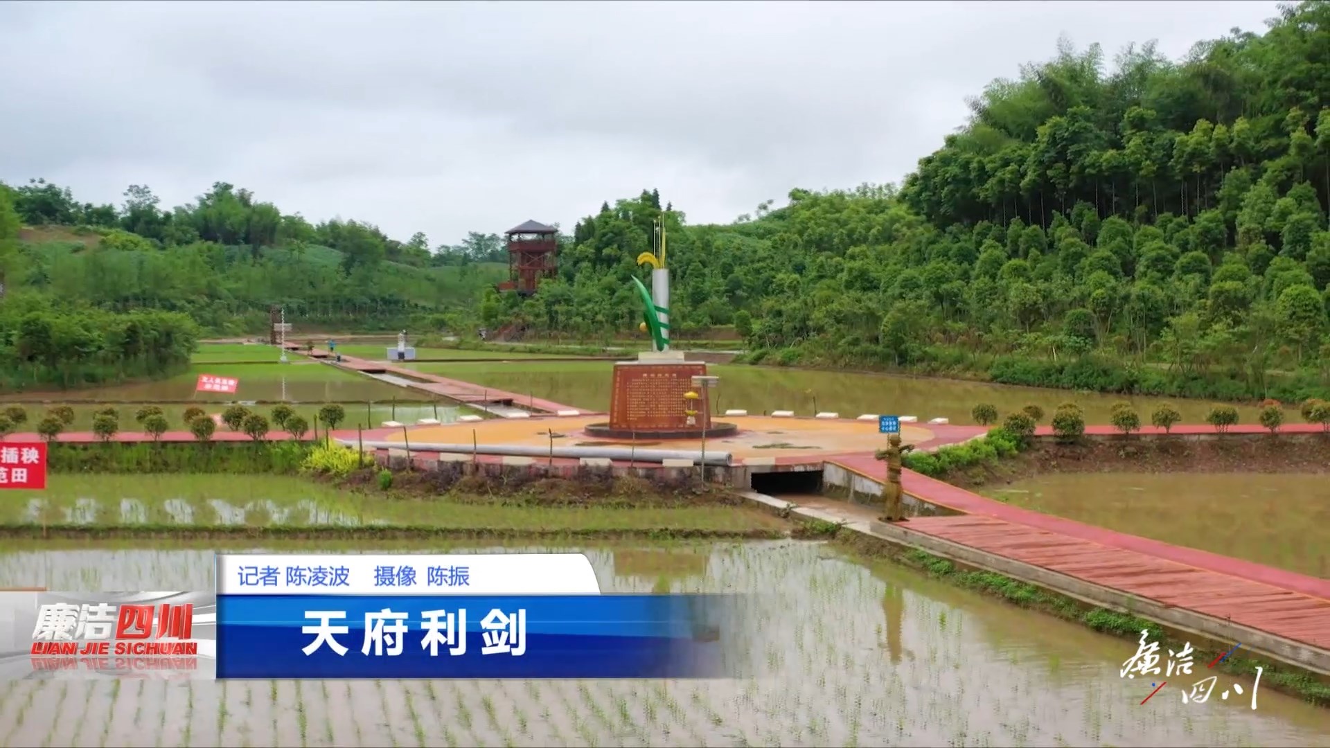 《廉洁四川》栏目第338期《天府利剑》