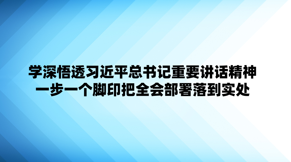 学深悟透习近平总书记重要讲话精神 一步一个脚印把全会部署落到实处