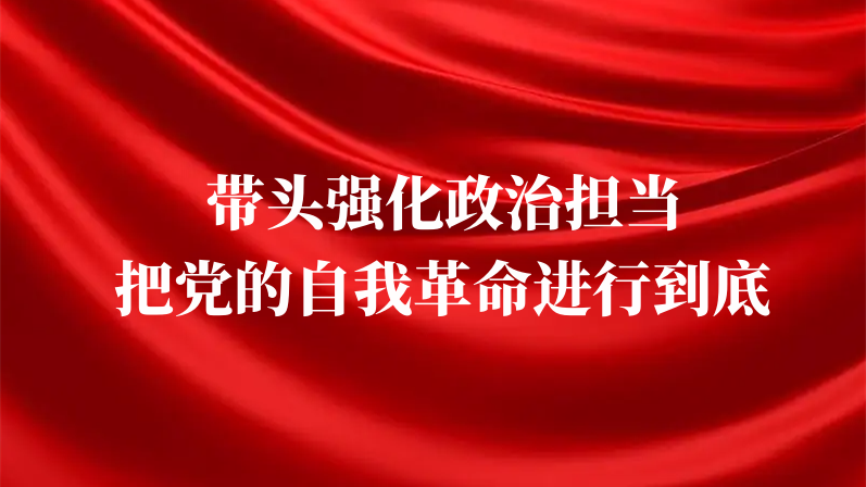 带头强化政治担当 把党的自我革命进行到底