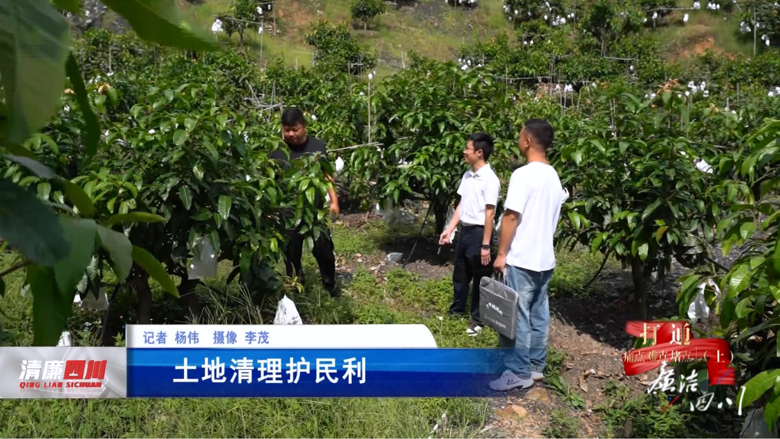 《廉洁四川》栏目第502期：《打通痛点、难点、堵点（上）》之《土地清理护民利》